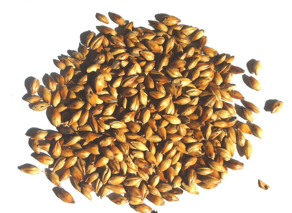 <b> Dry Milling VS Wed Milling Effect for Beer Brewing Process at Brewery</b>